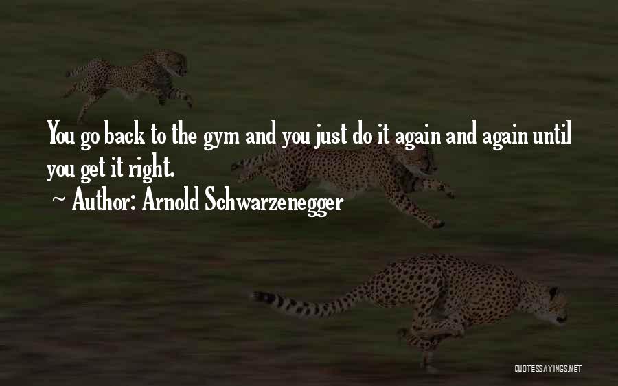 Arnold Schwarzenegger Quotes: You Go Back To The Gym And You Just Do It Again And Again Until You Get It Right.