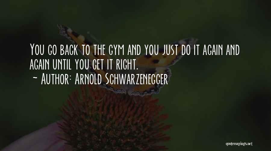 Arnold Schwarzenegger Quotes: You Go Back To The Gym And You Just Do It Again And Again Until You Get It Right.
