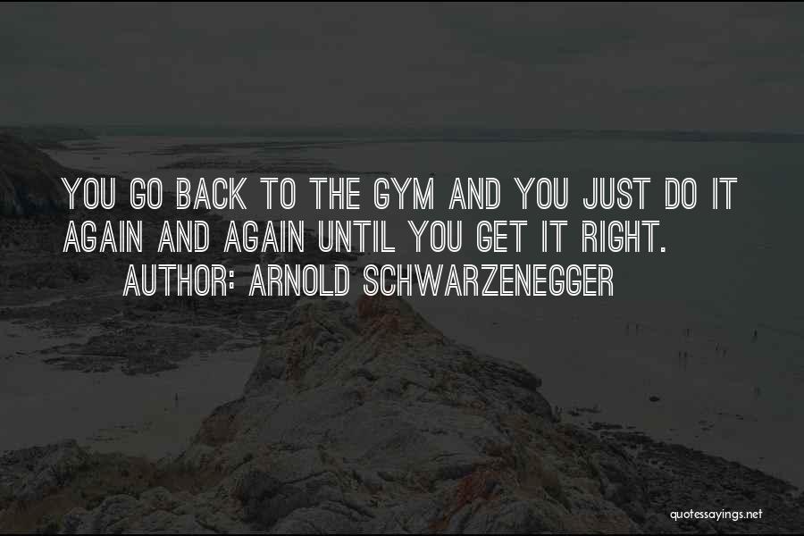 Arnold Schwarzenegger Quotes: You Go Back To The Gym And You Just Do It Again And Again Until You Get It Right.