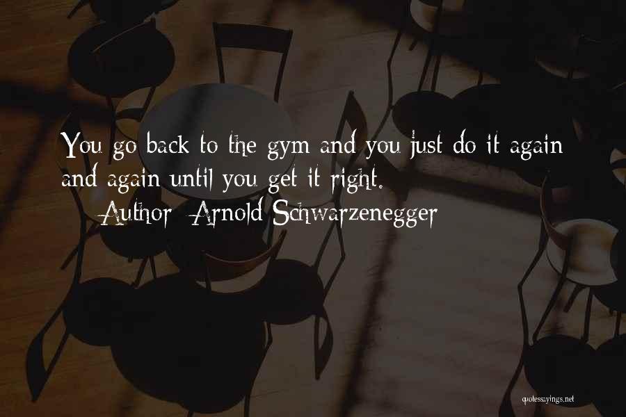 Arnold Schwarzenegger Quotes: You Go Back To The Gym And You Just Do It Again And Again Until You Get It Right.