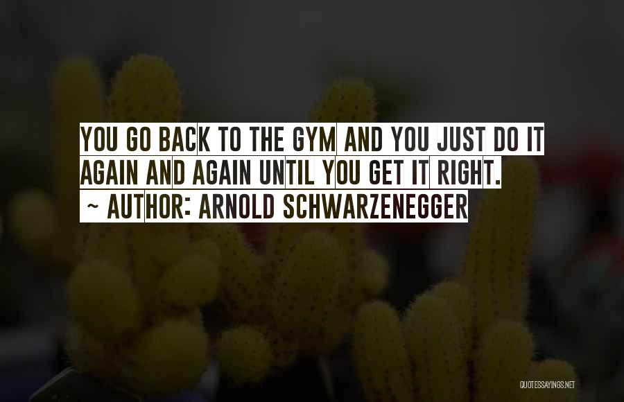 Arnold Schwarzenegger Quotes: You Go Back To The Gym And You Just Do It Again And Again Until You Get It Right.