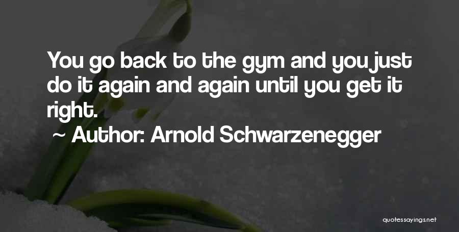 Arnold Schwarzenegger Quotes: You Go Back To The Gym And You Just Do It Again And Again Until You Get It Right.