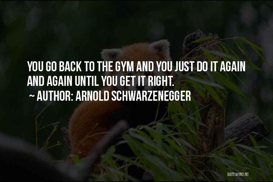 Arnold Schwarzenegger Quotes: You Go Back To The Gym And You Just Do It Again And Again Until You Get It Right.