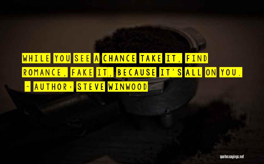 Steve Winwood Quotes: While You See A Chance Take It, Find Romance, Fake It, Because It's All On You.
