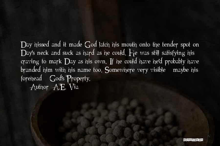 A.E. Via Quotes: Day Hissed And It Made God Latch His Mouth Onto The Tender Spot On Day's Neck And Suck As Hard