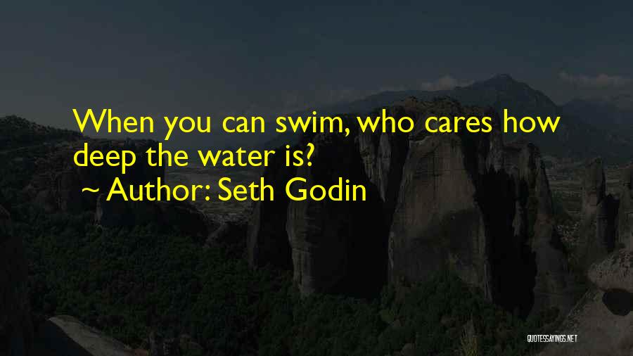 Seth Godin Quotes: When You Can Swim, Who Cares How Deep The Water Is?