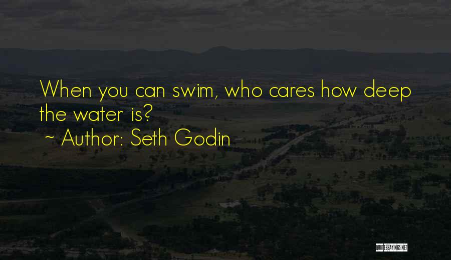 Seth Godin Quotes: When You Can Swim, Who Cares How Deep The Water Is?