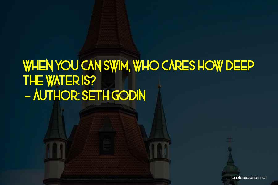 Seth Godin Quotes: When You Can Swim, Who Cares How Deep The Water Is?