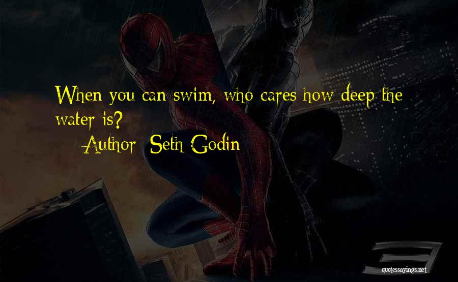 Seth Godin Quotes: When You Can Swim, Who Cares How Deep The Water Is?