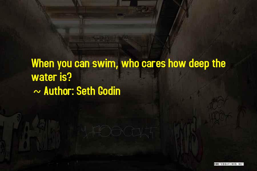 Seth Godin Quotes: When You Can Swim, Who Cares How Deep The Water Is?