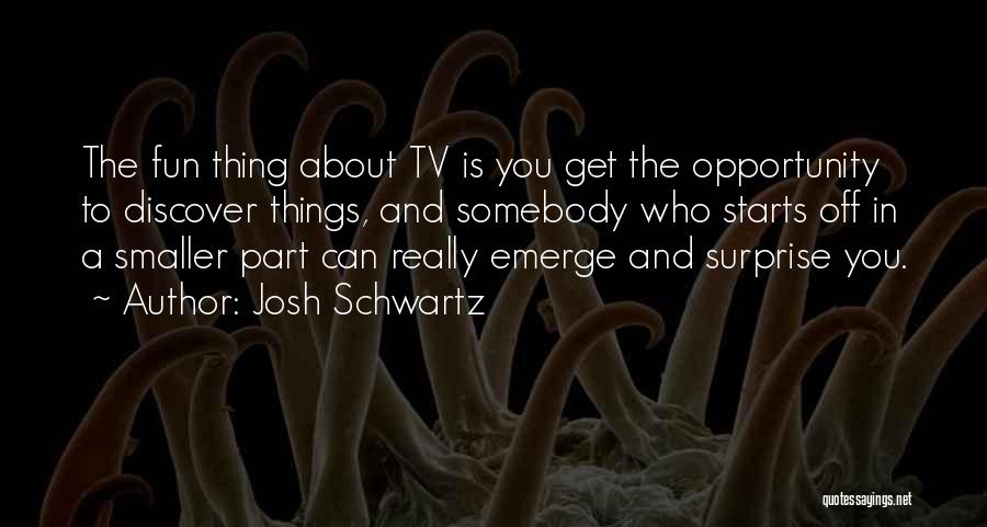 Josh Schwartz Quotes: The Fun Thing About Tv Is You Get The Opportunity To Discover Things, And Somebody Who Starts Off In A