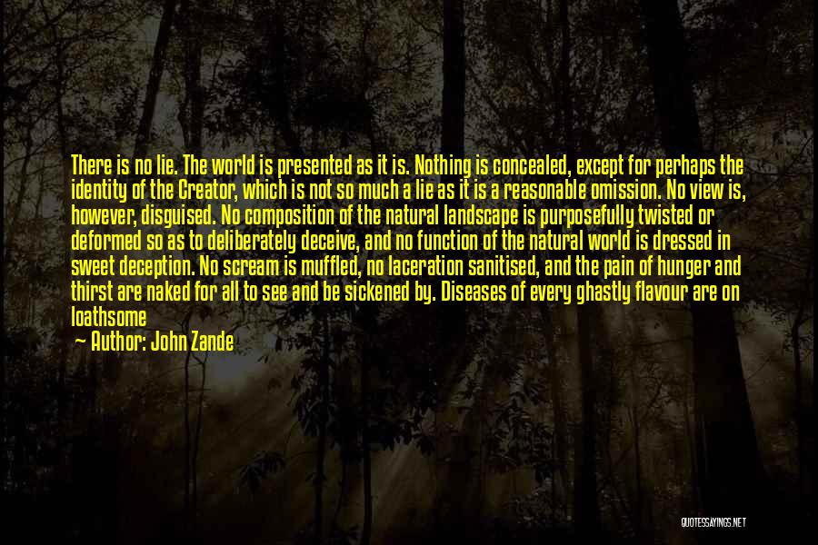 John Zande Quotes: There Is No Lie. The World Is Presented As It Is. Nothing Is Concealed, Except For Perhaps The Identity Of