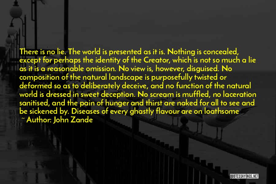 John Zande Quotes: There Is No Lie. The World Is Presented As It Is. Nothing Is Concealed, Except For Perhaps The Identity Of