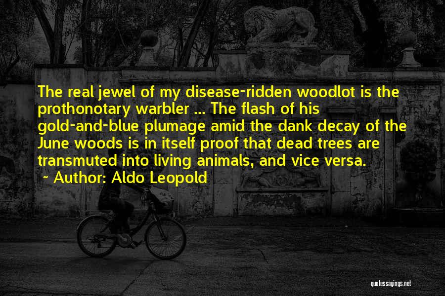 Aldo Leopold Quotes: The Real Jewel Of My Disease-ridden Woodlot Is The Prothonotary Warbler ... The Flash Of His Gold-and-blue Plumage Amid The