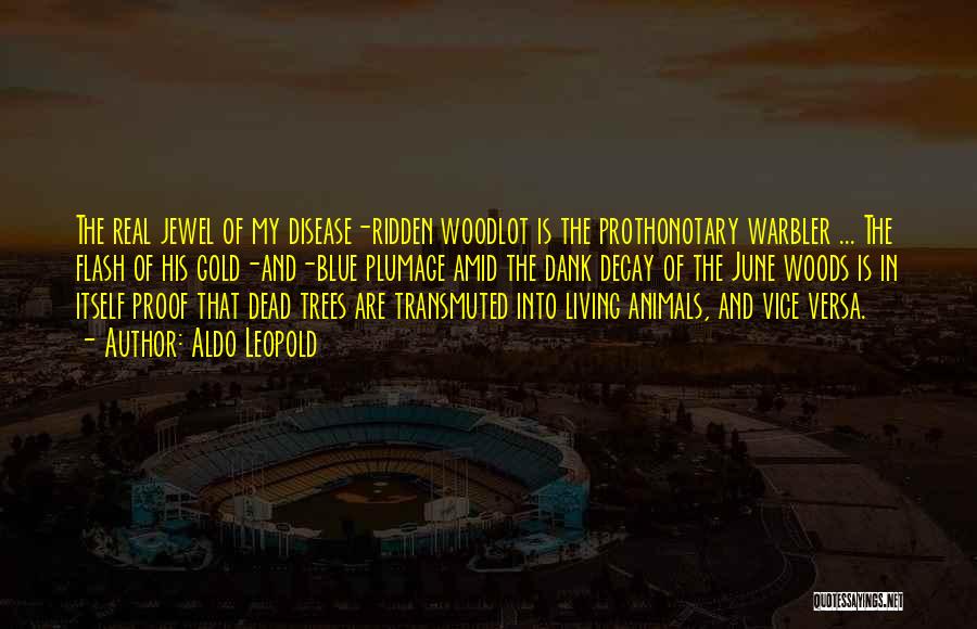 Aldo Leopold Quotes: The Real Jewel Of My Disease-ridden Woodlot Is The Prothonotary Warbler ... The Flash Of His Gold-and-blue Plumage Amid The