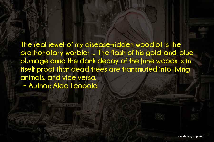 Aldo Leopold Quotes: The Real Jewel Of My Disease-ridden Woodlot Is The Prothonotary Warbler ... The Flash Of His Gold-and-blue Plumage Amid The