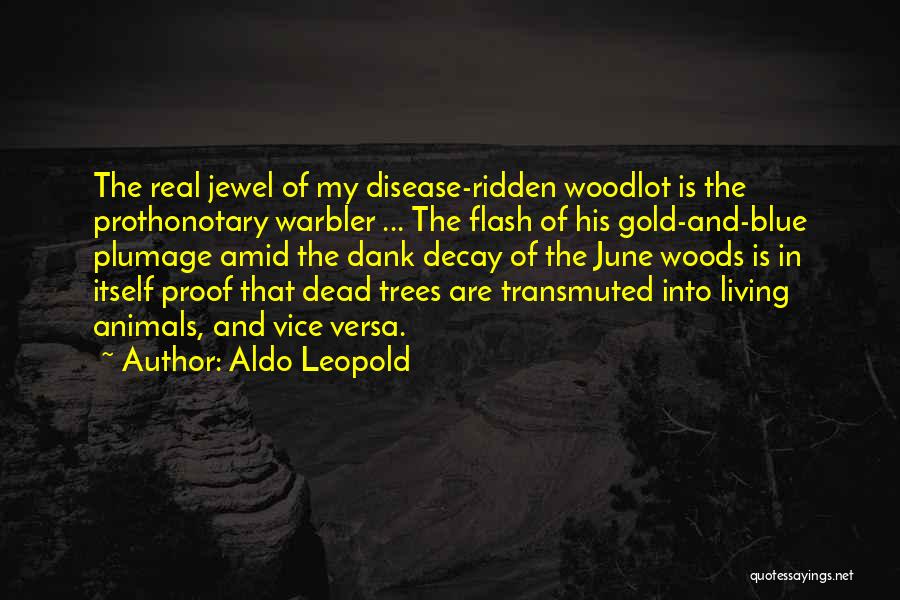 Aldo Leopold Quotes: The Real Jewel Of My Disease-ridden Woodlot Is The Prothonotary Warbler ... The Flash Of His Gold-and-blue Plumage Amid The