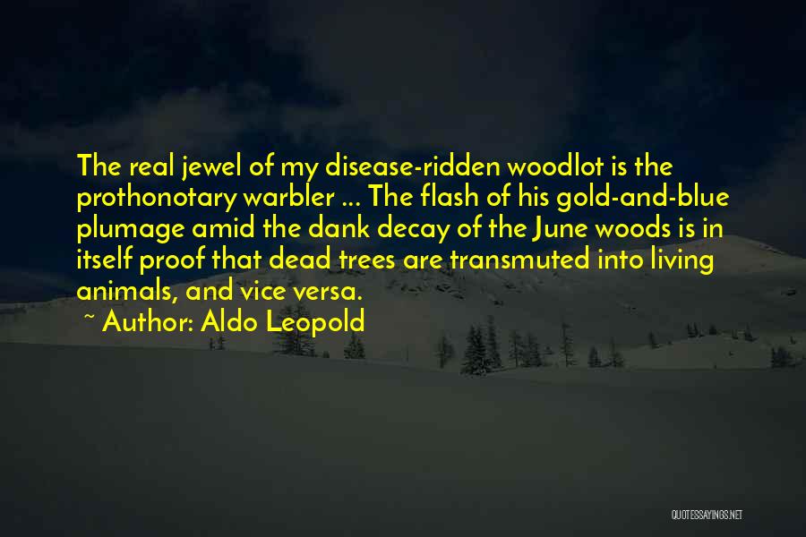 Aldo Leopold Quotes: The Real Jewel Of My Disease-ridden Woodlot Is The Prothonotary Warbler ... The Flash Of His Gold-and-blue Plumage Amid The