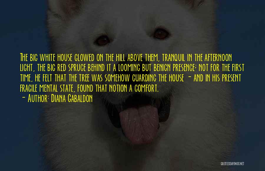 Diana Gabaldon Quotes: The Big White House Glowed On The Hill Above Them, Tranquil In The Afternoon Light, The Big Red Spruce Behind