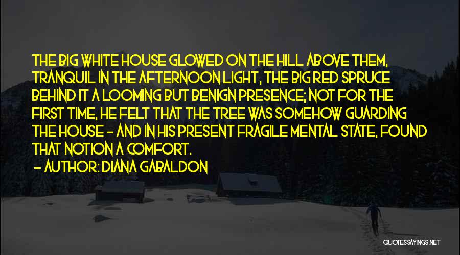 Diana Gabaldon Quotes: The Big White House Glowed On The Hill Above Them, Tranquil In The Afternoon Light, The Big Red Spruce Behind