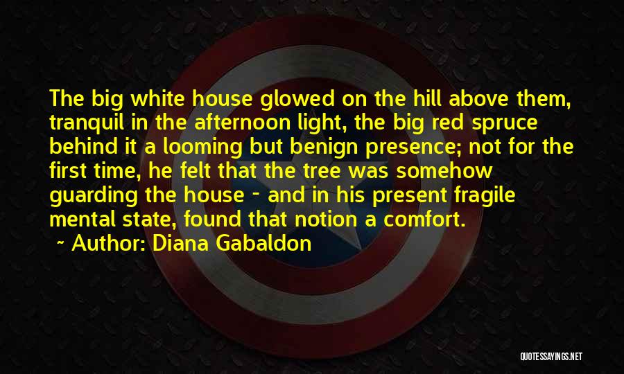 Diana Gabaldon Quotes: The Big White House Glowed On The Hill Above Them, Tranquil In The Afternoon Light, The Big Red Spruce Behind