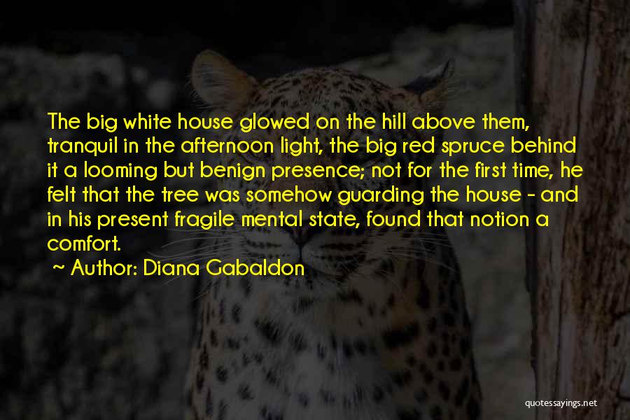 Diana Gabaldon Quotes: The Big White House Glowed On The Hill Above Them, Tranquil In The Afternoon Light, The Big Red Spruce Behind