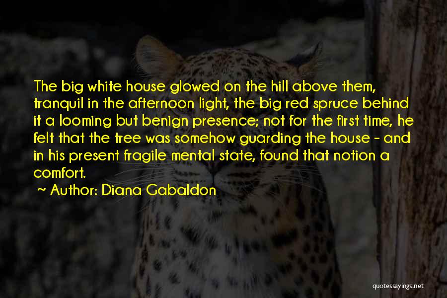 Diana Gabaldon Quotes: The Big White House Glowed On The Hill Above Them, Tranquil In The Afternoon Light, The Big Red Spruce Behind