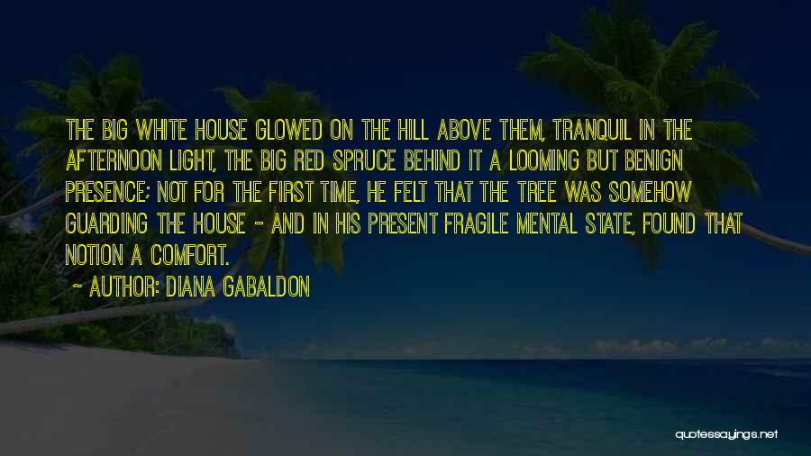 Diana Gabaldon Quotes: The Big White House Glowed On The Hill Above Them, Tranquil In The Afternoon Light, The Big Red Spruce Behind