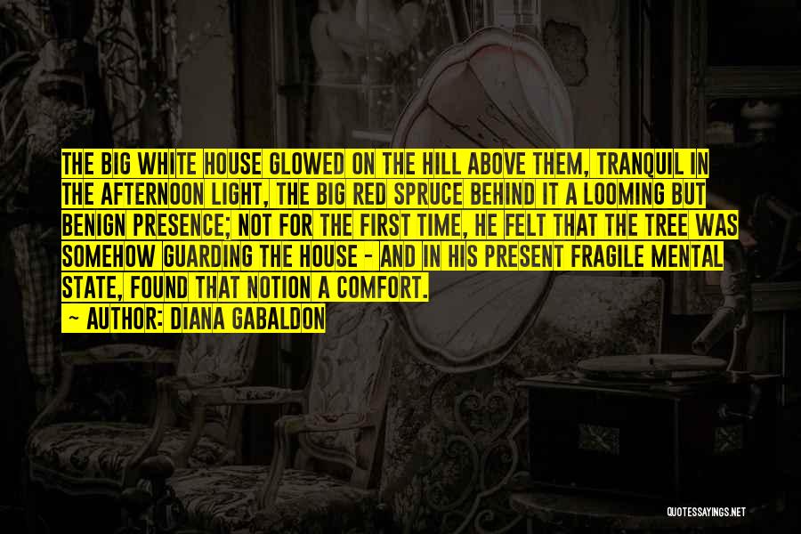 Diana Gabaldon Quotes: The Big White House Glowed On The Hill Above Them, Tranquil In The Afternoon Light, The Big Red Spruce Behind