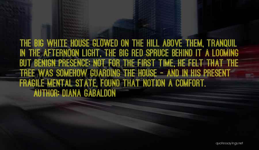 Diana Gabaldon Quotes: The Big White House Glowed On The Hill Above Them, Tranquil In The Afternoon Light, The Big Red Spruce Behind