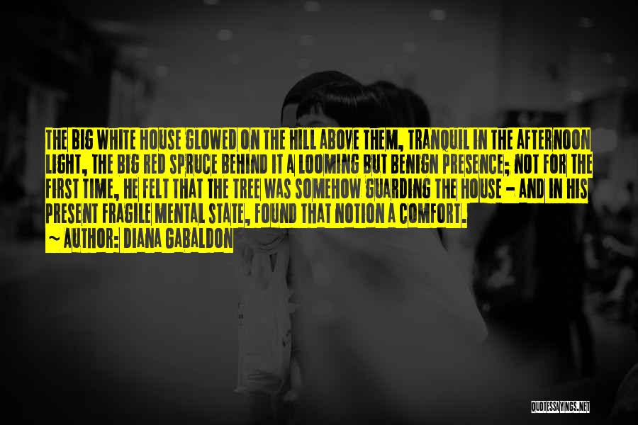 Diana Gabaldon Quotes: The Big White House Glowed On The Hill Above Them, Tranquil In The Afternoon Light, The Big Red Spruce Behind