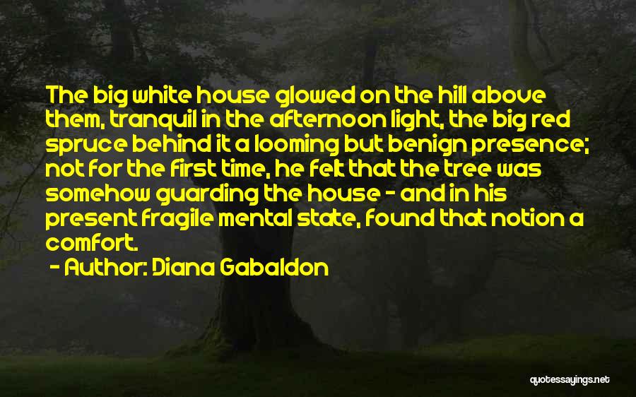 Diana Gabaldon Quotes: The Big White House Glowed On The Hill Above Them, Tranquil In The Afternoon Light, The Big Red Spruce Behind