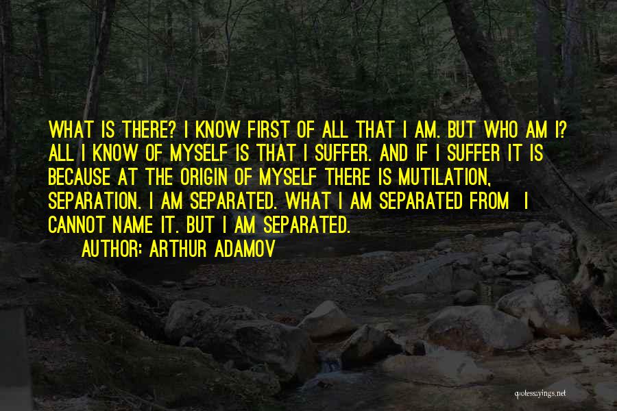 Arthur Adamov Quotes: What Is There? I Know First Of All That I Am. But Who Am I? All I Know Of Myself