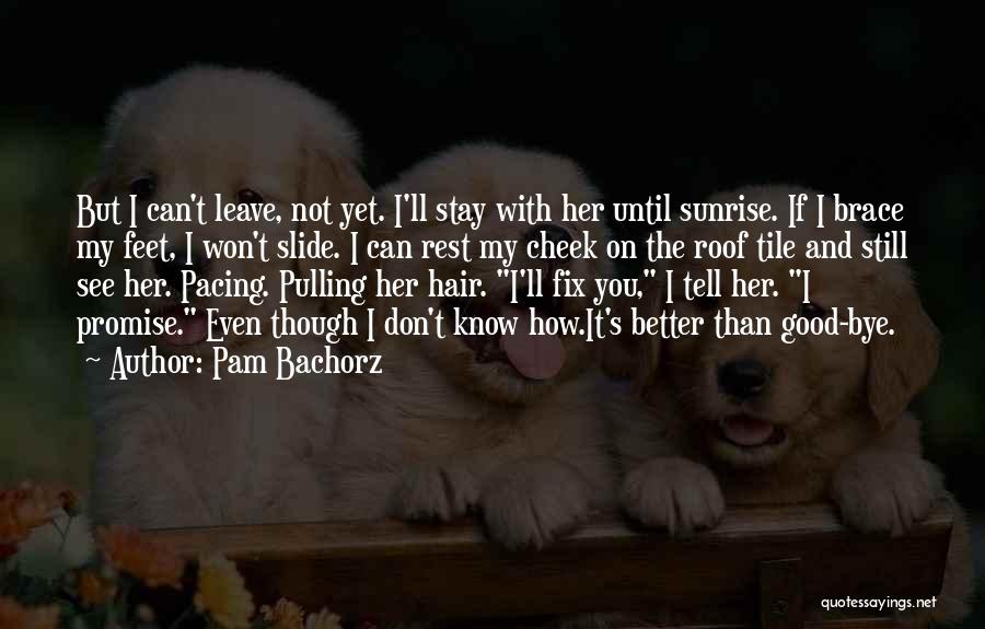 Pam Bachorz Quotes: But I Can't Leave, Not Yet. I'll Stay With Her Until Sunrise. If I Brace My Feet, I Won't Slide.