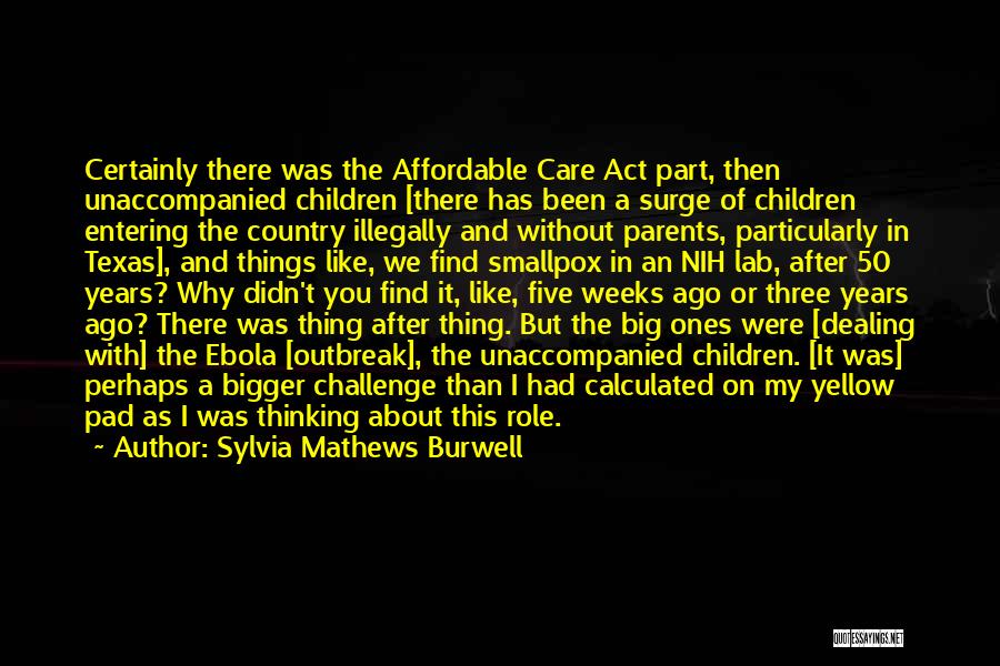 Sylvia Mathews Burwell Quotes: Certainly There Was The Affordable Care Act Part, Then Unaccompanied Children [there Has Been A Surge Of Children Entering The