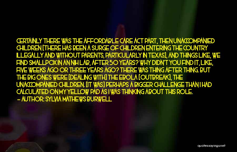 Sylvia Mathews Burwell Quotes: Certainly There Was The Affordable Care Act Part, Then Unaccompanied Children [there Has Been A Surge Of Children Entering The