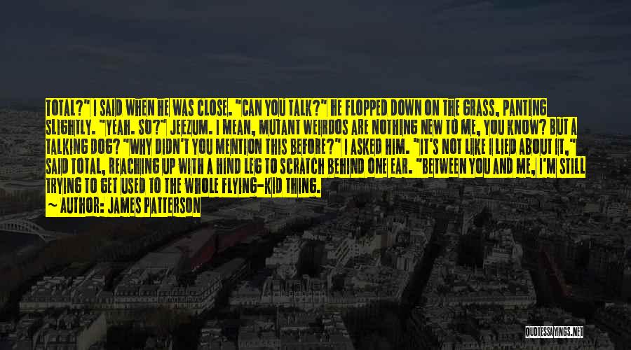 James Patterson Quotes: Total? I Said When He Was Close. Can You Talk? He Flopped Down On The Grass, Panting Slightly. Yeah. So?
