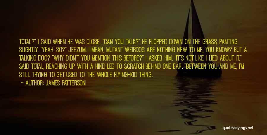 James Patterson Quotes: Total? I Said When He Was Close. Can You Talk? He Flopped Down On The Grass, Panting Slightly. Yeah. So?