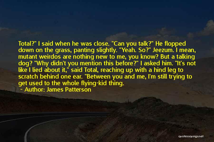 James Patterson Quotes: Total? I Said When He Was Close. Can You Talk? He Flopped Down On The Grass, Panting Slightly. Yeah. So?