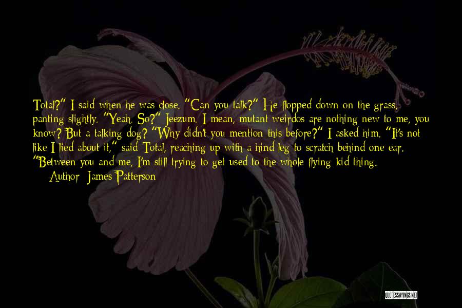 James Patterson Quotes: Total? I Said When He Was Close. Can You Talk? He Flopped Down On The Grass, Panting Slightly. Yeah. So?