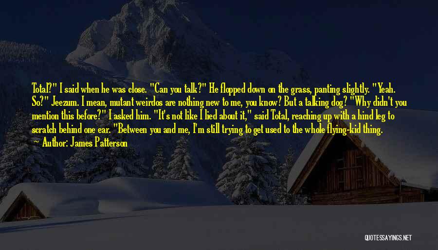 James Patterson Quotes: Total? I Said When He Was Close. Can You Talk? He Flopped Down On The Grass, Panting Slightly. Yeah. So?