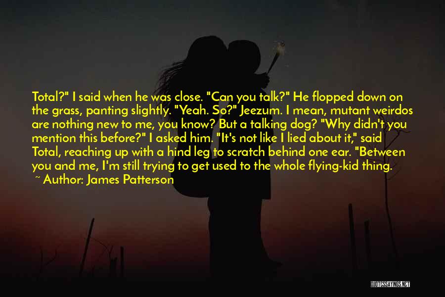 James Patterson Quotes: Total? I Said When He Was Close. Can You Talk? He Flopped Down On The Grass, Panting Slightly. Yeah. So?