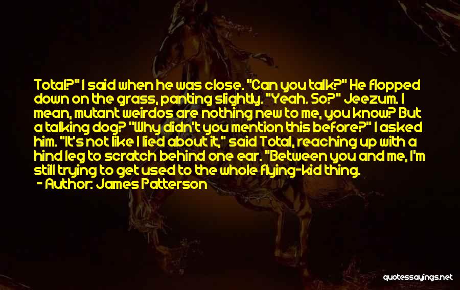 James Patterson Quotes: Total? I Said When He Was Close. Can You Talk? He Flopped Down On The Grass, Panting Slightly. Yeah. So?