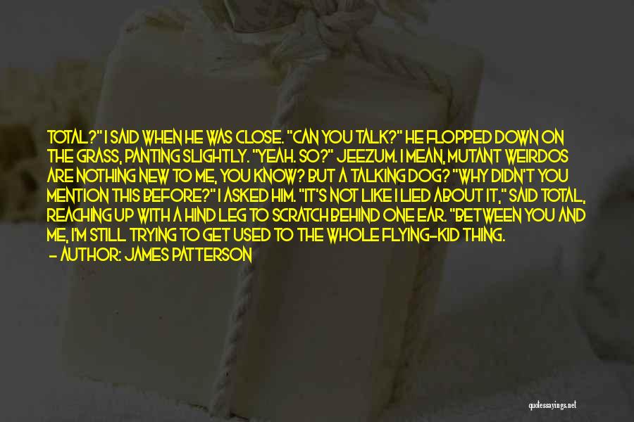 James Patterson Quotes: Total? I Said When He Was Close. Can You Talk? He Flopped Down On The Grass, Panting Slightly. Yeah. So?