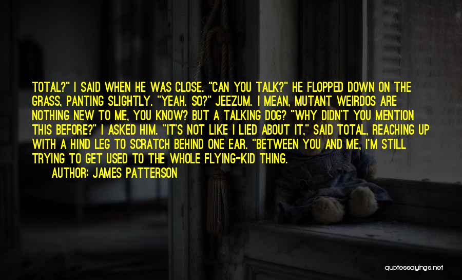 James Patterson Quotes: Total? I Said When He Was Close. Can You Talk? He Flopped Down On The Grass, Panting Slightly. Yeah. So?