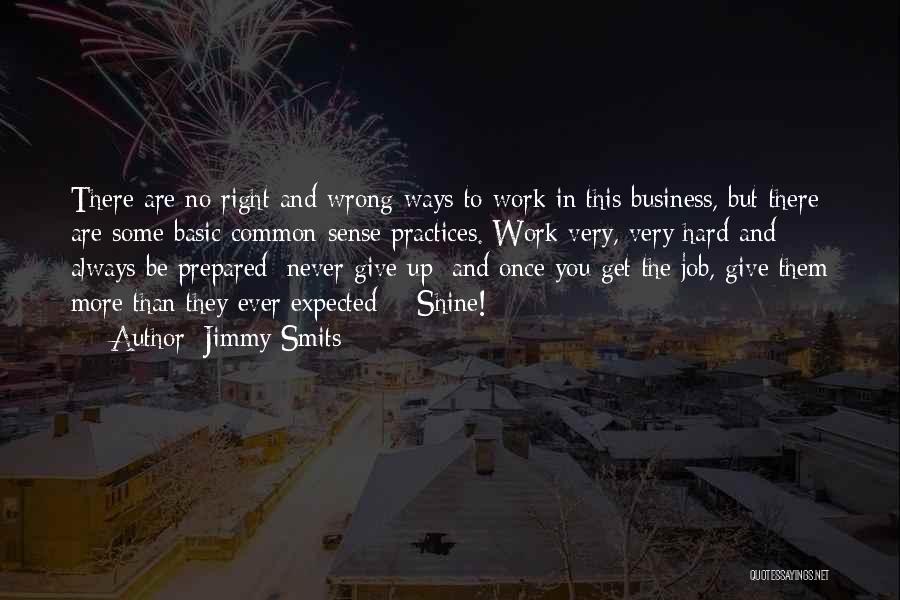 Jimmy Smits Quotes: There Are No Right And Wrong Ways To Work In This Business, But There Are Some Basic Common-sense Practices. Work