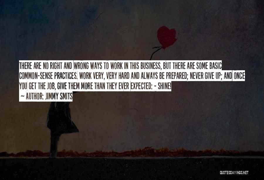 Jimmy Smits Quotes: There Are No Right And Wrong Ways To Work In This Business, But There Are Some Basic Common-sense Practices. Work