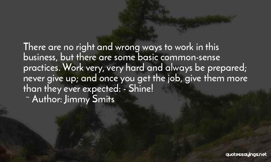 Jimmy Smits Quotes: There Are No Right And Wrong Ways To Work In This Business, But There Are Some Basic Common-sense Practices. Work