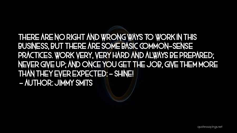 Jimmy Smits Quotes: There Are No Right And Wrong Ways To Work In This Business, But There Are Some Basic Common-sense Practices. Work