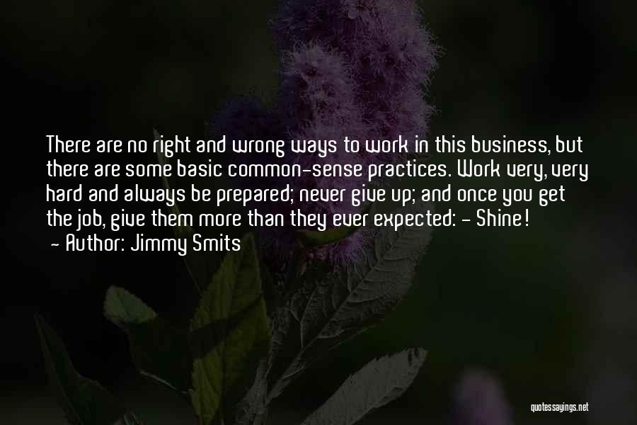 Jimmy Smits Quotes: There Are No Right And Wrong Ways To Work In This Business, But There Are Some Basic Common-sense Practices. Work